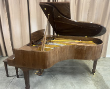 Polished walnut grand piano, 6'2